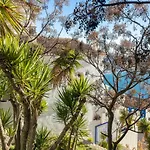 Casa Segerlund * Almuñécar